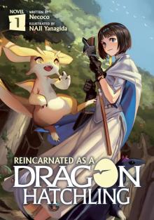 Reincarnated as a Dragon Hatchling Vol. 1