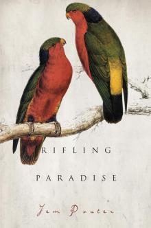 Rifling Paradise Read online