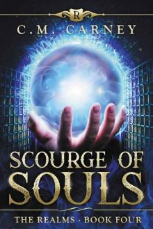 Scourge of Souls: The Realms Book Four: (An Epic LitRPG Series) Read online