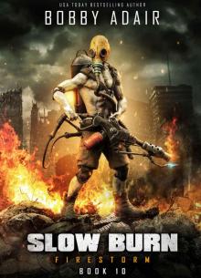 Slow Burn | Book 10 | Firestorm Read online