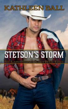 Stetson's Storm Read online