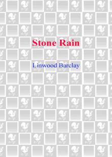 Stone Rain Read online