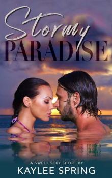Stormy Paradise: A Second-Chance Romance Beach Read (Sweet, Sexy Shorts Book 14) Read online