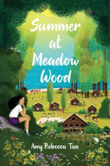 Summer at Meadow Wood Read online