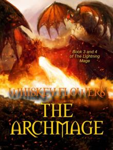 The Archmage Read online