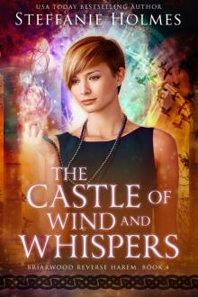 The Castle of Wind and Whispers Read online