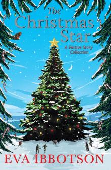 The Christmas Star: A Festive Story Collection Read online