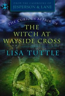 The Curious Affair of the Witch at Wayside Cross: Read online