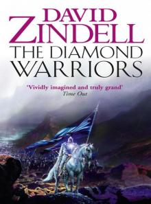 The Diamond Warriors Read online