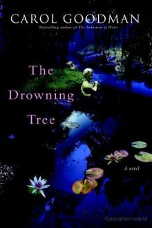 The Drowning Tree Read online