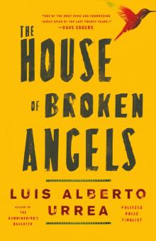 The House of Broken Angels Read online