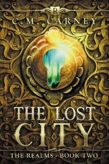 The Lost City: The Realms Book Two: (An Epic LitRPG Series) Read online