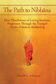 The Path to Nibbana Read online