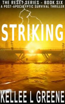 The Reset Series | Book 6 | Striking