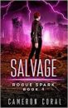 The Rogue Spark series Box Set Read online