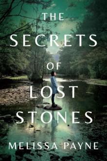 The Secrets of Lost Stones Read online