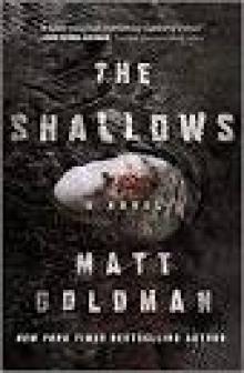 The Shallows--A Nils Shapiro Novel Read online