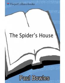 The Spider's House Read online