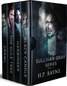 The Sullivan Gray Series Box Set