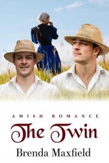 The Twin (Lindy's Story Book 1) Read online