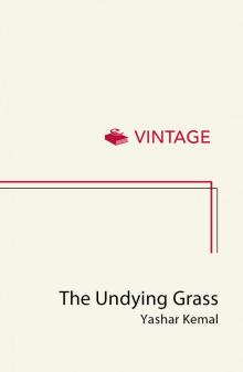The Undying Grass Read online