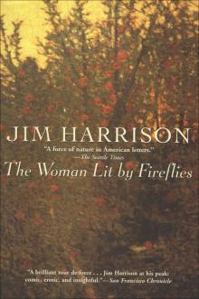 The Woman Lit by Fireflies Read online