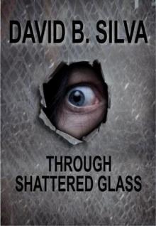 Through Shattered Glass Read online