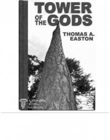 Tower Of The Gods Read online