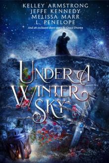 Under a Winter Sky Read online