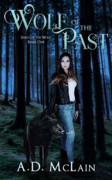 Wolf Of The Past: Family Lost - A Werewolf Romance (Spirit Of The Wolf Book 1)
