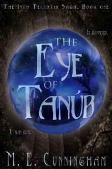 The Eye of Tanub Read online