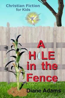 A Hole in the Fence - Christian Fiction for Kids Read online