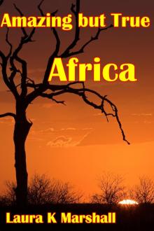 Amazing but True - Africa Adventure Book 1 Read online