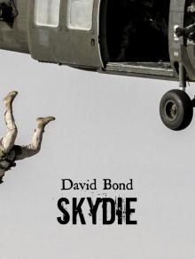 SkyDie Read online