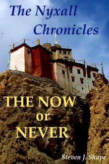 The Nyxall Chronicles: The Now or Never