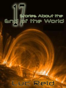 17 Stories About the End of the World Read online