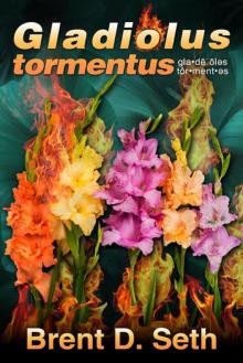 Gladiolus tormentus Read online