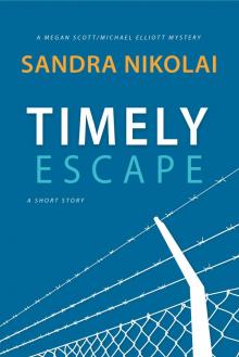 Timely Escape (A Short Story) Read online