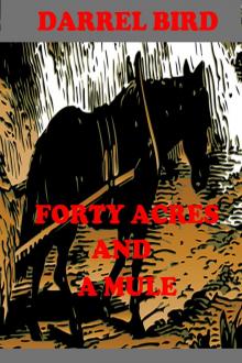 Forty Acres and a Mule Read online