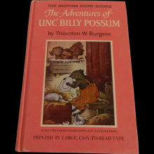 The Adventures of Unc' Billy Possum Read online