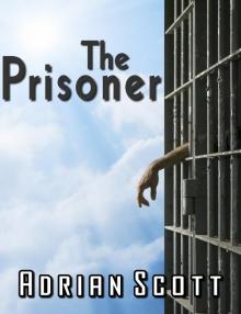 The Prisoner Read online