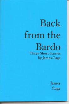 Back From The Bardo Read online