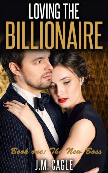 Loving The Billionaire, Book One: The New Boss