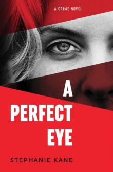 A Perfect Eye Read online