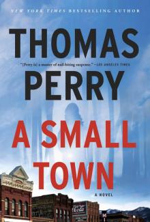 A Small Town Read online