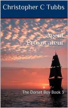 Agent Provocateur Read online