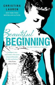 Beautiful Beginning Read online