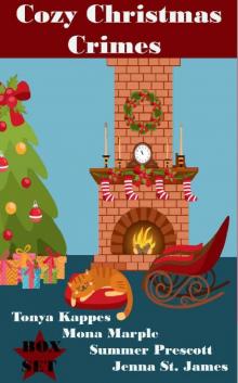 Cozy Christmas Crimes - A Cozy Christmas Box Set Read online