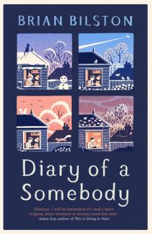 Diary of a Somebody Read online