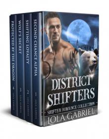 District Shifters Collection